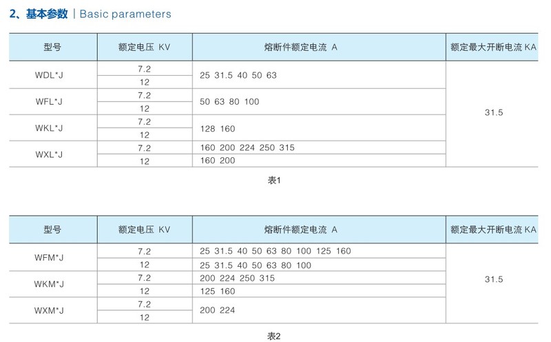 电动机保护用高压限流熔断器(德国DIN标准）2.jpg